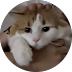 Gina P's profile picture